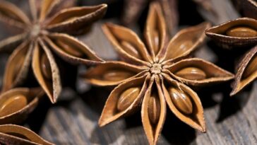 What is similar to star anise?