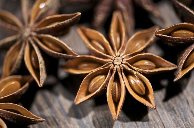 What is similar to star anise?