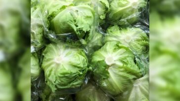 What is the #1 toxic vegetable?