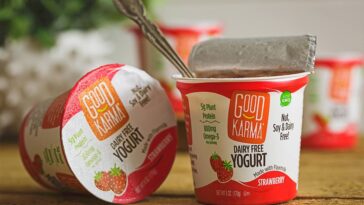 What is the best dairy free yogurt?