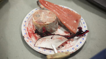 What is the best gut food for first thing in the morning?