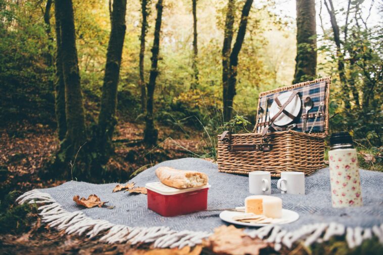 What is the best location for picnic?