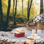 What is the best location for picnic?