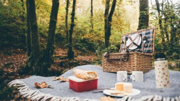 What is the best location for picnic?
