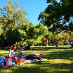 What is the best place to go picnic?