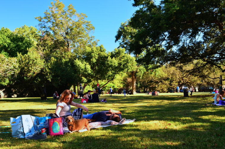 What is the best place to go picnic?