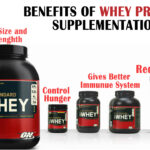 What is the best protein for weight loss?