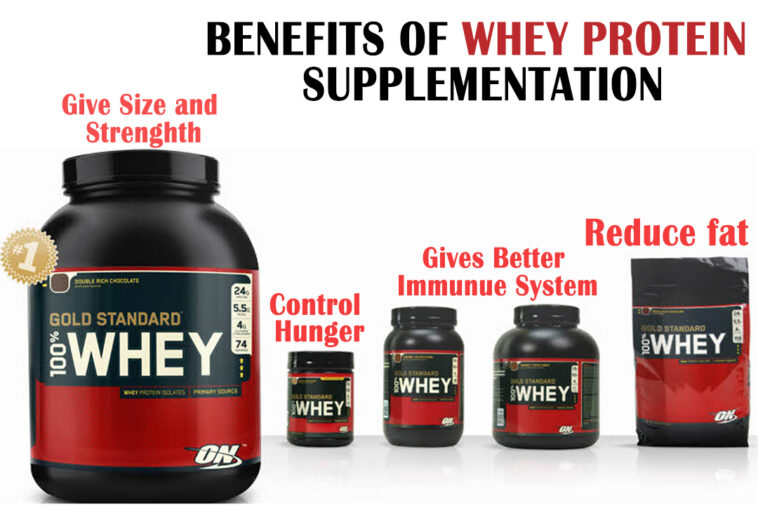 What is the best protein for weight loss?