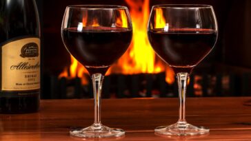 What is the best red wine for a beginner?