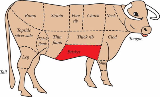 cuts-of-steak-explained-and-which-are-the-best-delishably