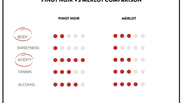 What is the difference between merlot and Pinot Noir?