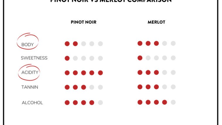 What is the difference between merlot and Pinot Noir?