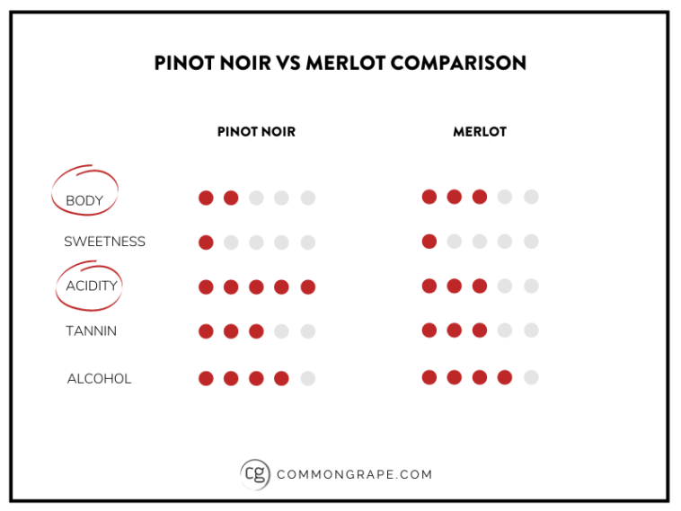 What is the difference between merlot and Pinot Noir?