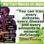 What is the difference between trace minerals and colloidal minerals?