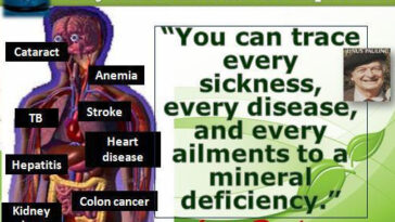 What is the difference between trace minerals and colloidal minerals?