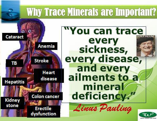 What is the difference between trace minerals and colloidal minerals?