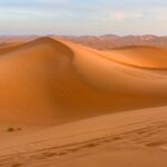 What is the fattiest dessert?