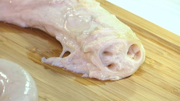 What is the grossest food ever?