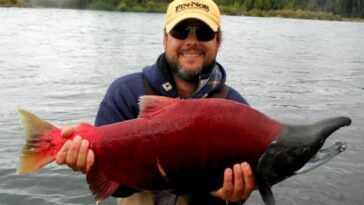 What is the healthiest fish?