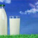 What is the healthiest milk to drink?