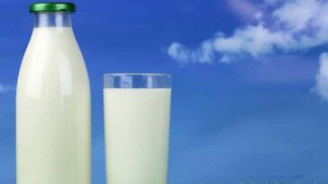 What is the healthiest milk to drink?