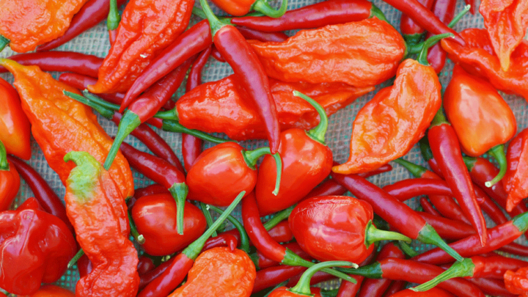 What is the hottest pepper in the world now?