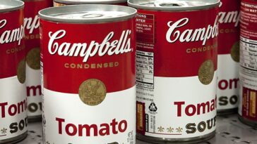 What is the meaning of Campbell soup cans?