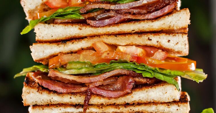 What is the most delicious sandwich?