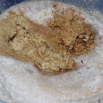 What is the most disgusting cheese?