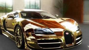 What is the most expensive thing in KFC?