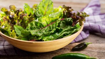 What is the most nutritious green leafy vegetable?