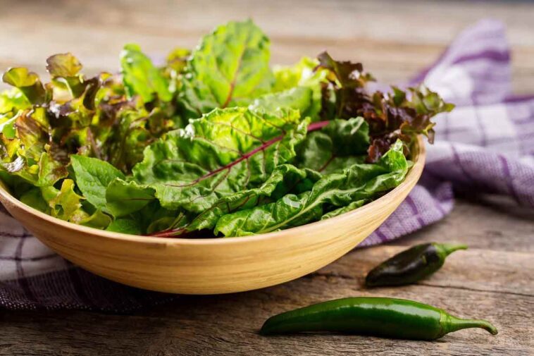 What is the most nutritious green leafy vegetable?