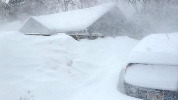 What is the most ordered Blizzard?