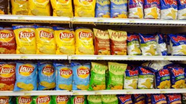 What is the most popular chip?