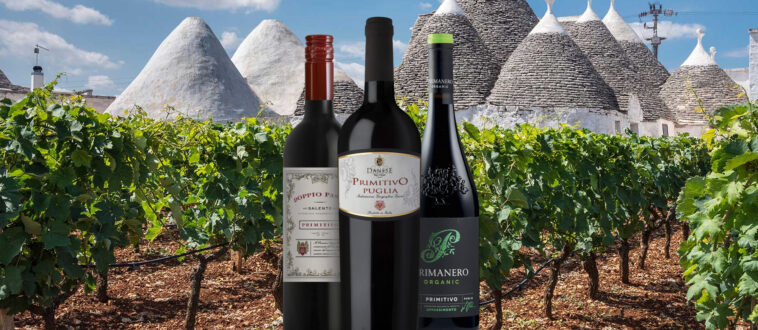 What is the most popular red wine?