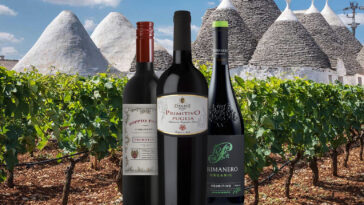 What is the most popular red wine in the US?