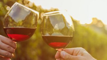 What is the most popular wine people drink?
