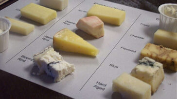What is the most tastiest cheese?