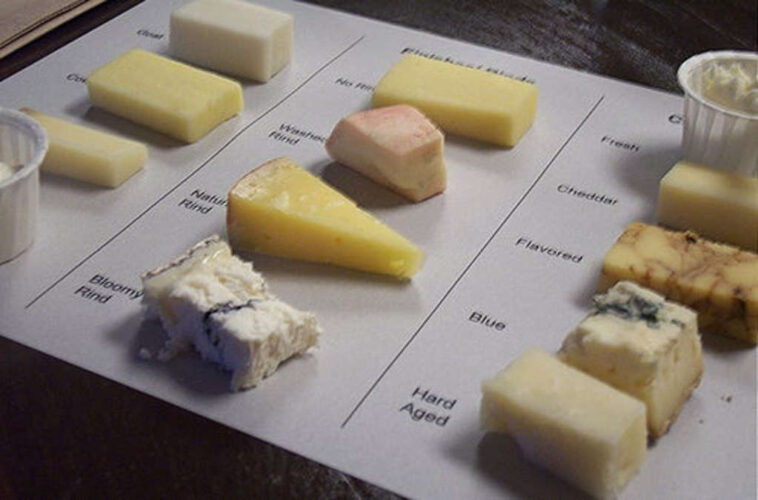 What is the most tastiest cheese?