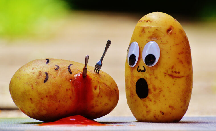 What is the most toxic food?