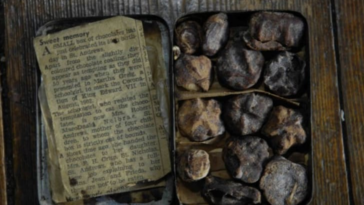 What is the oldest food ever eaten?