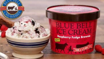 What is the oldest ice cream brand?