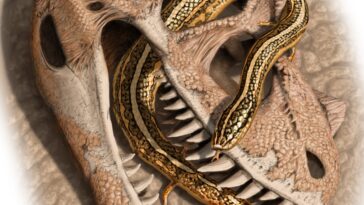 What is the oldest snack in the world?