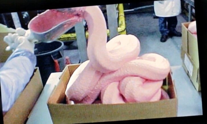 what-is-the-pink-stuff-in-chicken