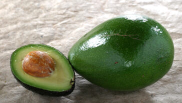 What is the price of 1kg avocado?