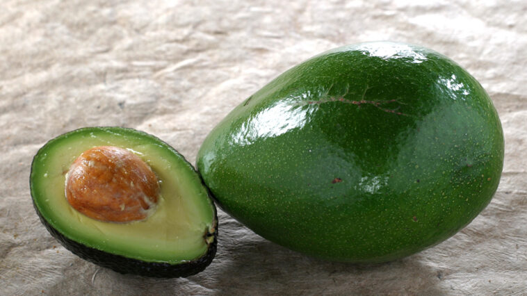 What is the price of 1kg avocado?