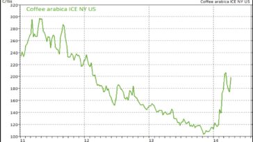What is the price of arabica coffee?