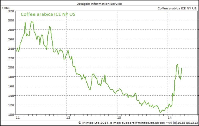 What is the price of arabica coffee?