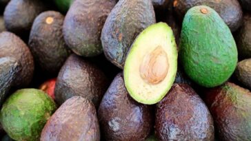 What is the price of avocado per kg?