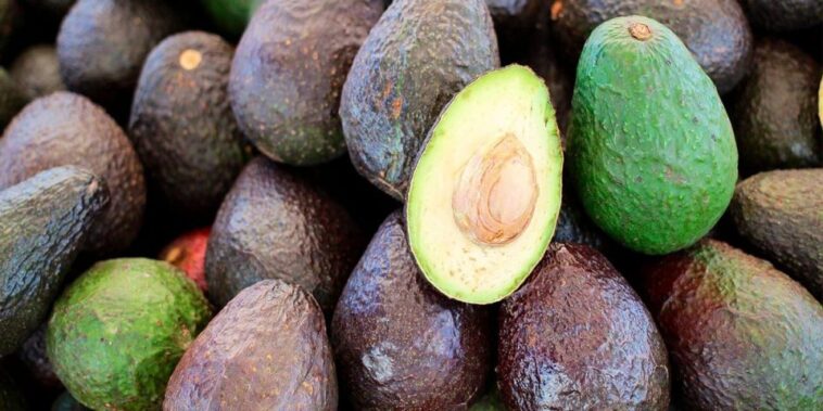 What is the price of avocado per kg?